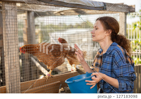 Adult woman feeding chickens in henhouse 127183098