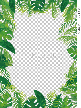 水彩熱帶植物套裝裝飾框1垂直 127183462