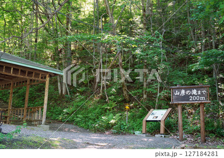 山彦の滝へ続く案内板 ヒグマ注意の立て看板 北海草 山彦の滝へ続く案内板 ヒグマ注意の立て看板 北海草 127184281
