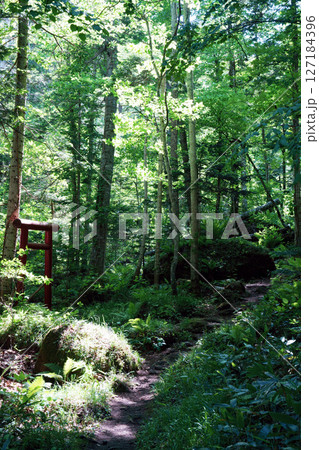 山彦の滝へ続く山道 北海道 山彦の滝へ続く山道 北海道 127184396