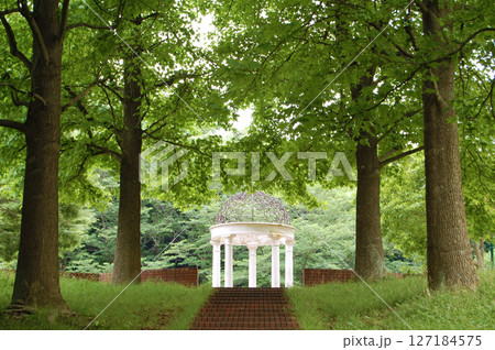 新緑の公園にたたずむガゼボ 127184575