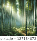 竹林にさす光 127184872