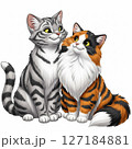 シルバーの猫と長毛の三毛猫 127184881