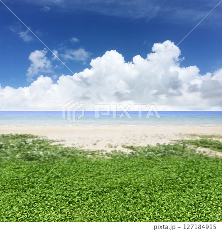 海へと続く砂浜と青空、ワクワクする夏の空想の風景 海へと続く砂浜と青空、ワクワクする夏の空想の風景 127184915