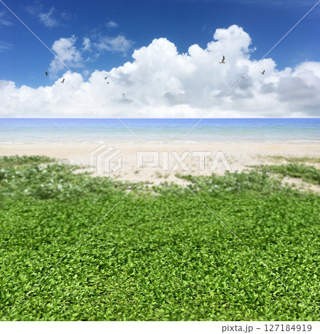 海へと続く砂浜と青空、ワクワクする夏の空想の風景 海へと続く砂浜と青空、ワクワクする夏の空想の風景 127184919