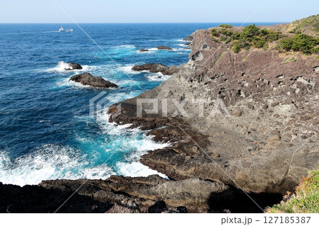 伊豆半島　石廊崎 127185387