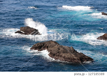 伊豆半島　石廊崎 127185389