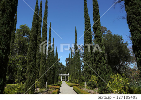 青空にそびえるイトスギの並木道：歴史ある庭園への誘い 127185405