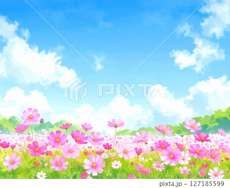 コスモスと青空　水彩画風 127185599