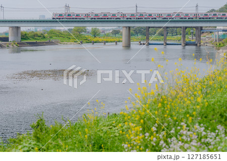 春の多摩川 127185651