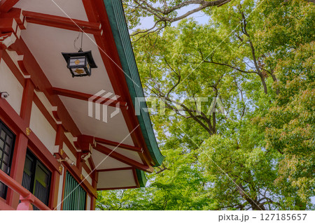 新緑と社殿の軒先 127185657