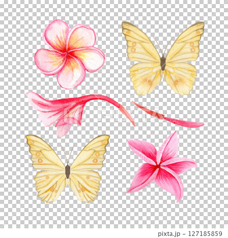 Yellow butterflies, pink tropical plumeria flowers, bud watercolor illustration set. Hand painted for textile design, summer packaging decor, branding, stationery, digital products. Isolated on white 127185859