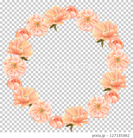 Peony flower head in soft peach tones watercolor round frame. Hand-painted wreath perfect for wedding invitations, feminine branding, packaging, fabric design, stationary and cards. Coral charm color Peony flower head in soft peach tones watercolor round frame. Hand-painted wreath perfect for wedding invitations, feminine branding, packaging, fabric design, stationary and cards. Coral charm color 127185862