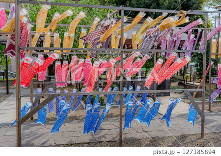 色とりどりの鯉のぼり 127185894