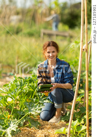 Adult woman with zucchini harvest in garden 127185901