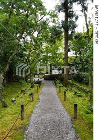 京都地蔵院の境内の風景 127186699