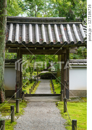 京都地蔵院の境内の風景 127186716
