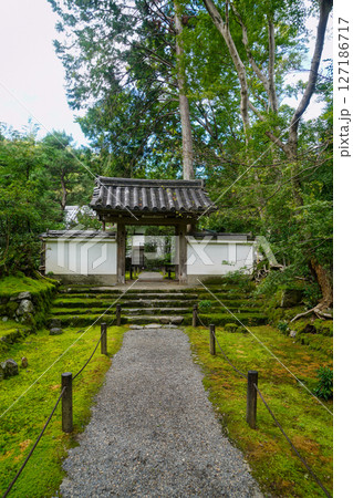 京都地蔵院の境内の風景 127186717