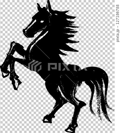 Hand-drawn ink horse illustration 127186788