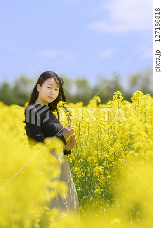 満開の菜の花畑を観光する女性 127186818
