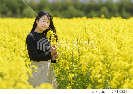 満開の菜の花畑を観光する女性 127186819
