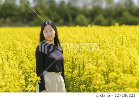 満開の菜の花畑を観光する女性 127186822