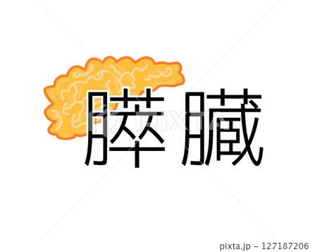 膵臓 127187206