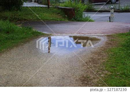 雨上がり 127187230