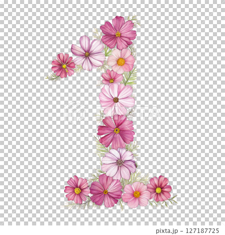 numbers alphabet and flowers white background 127187725