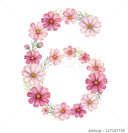 numbers alphabet and flowers white background 127187730