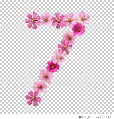 numbers alphabet and flowers white background 127187731