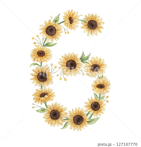 numbers alphabet and flowers white background 127187770