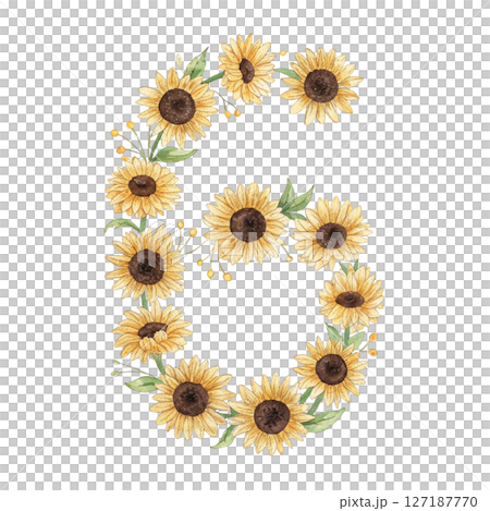 numbers alphabet and flowers white background 127187770