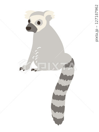 ワオキツネザル ベクターイラスト ワオキツネザル ベクターイラスト 127187962