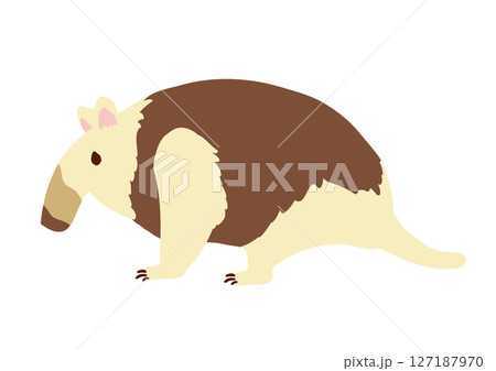 アリクイ　イラスト 127187970