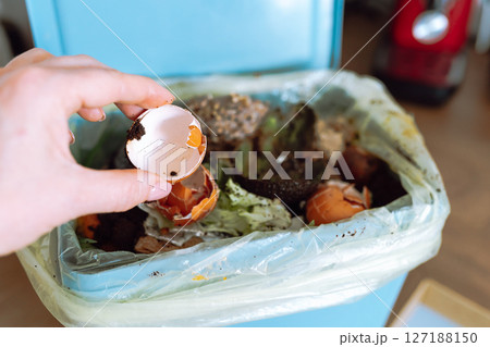 collecting organic food waste at home collecting organic food waste at home 127188150