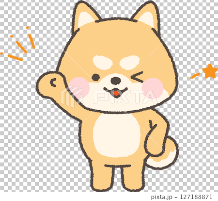 棕色柴犬眨眨眼，揮拳 127188871