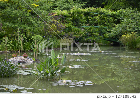 花の美術館（浜名湖ガーデンパーク） 127189342
