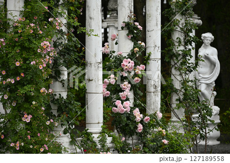 浜名湖ガーデンパーク 浜名湖ガーデンパーク 127189558