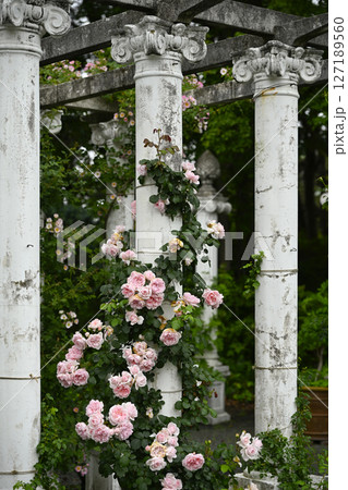 浜名湖ガーデンパーク 127189560