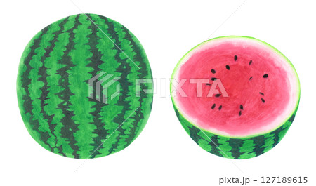 スイカの水彩手描きイラスト 127189615