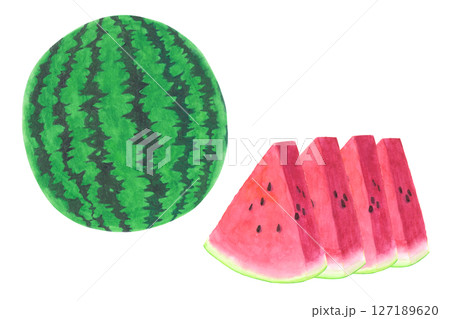 スイカの水彩手描きイラスト スイカの水彩手描きイラスト 127189620