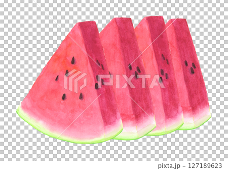 Watermelon watercolor hand drawn illustration 127189623