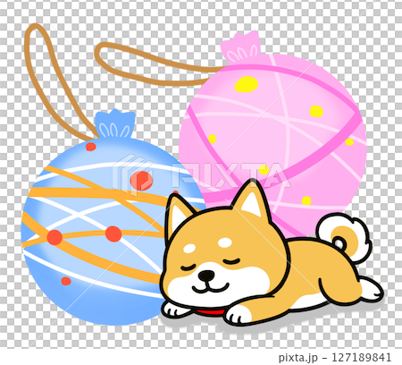 柴犬在水悠悠球前舒服地睡覺 柴犬在水悠悠球前舒服地睡覺 127189841