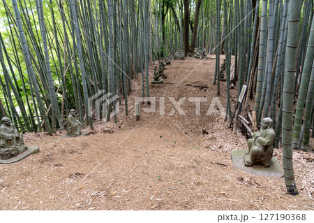 小山田城跡に残る堀切 小山田城跡に残る堀切 127190368