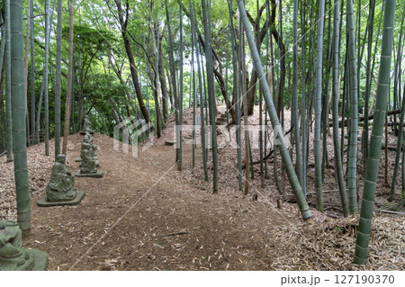 小山田城跡 本丸馬出 小山田城跡 本丸馬出 127190370