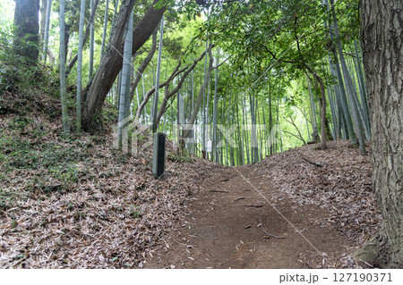 小山田城　本丸虎口 127190371