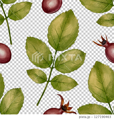 Rosehip leaves and berries seamless pattern 127190463