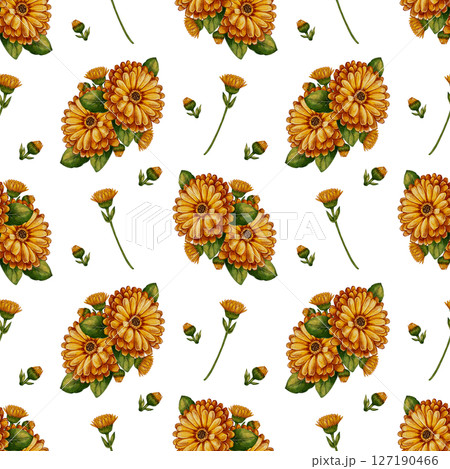 Seamless pattern with calendula flowers 127190466