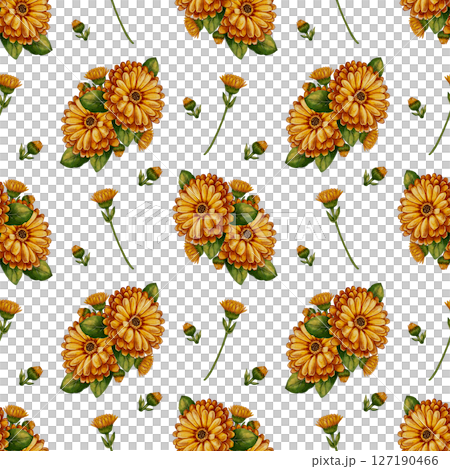Seamless pattern with calendula flowers 127190466